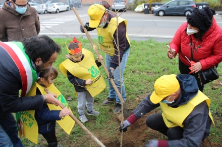 MONCALIERI - Per la festa dell'albero duecento bambini e due nuovi aceri a Santa Maria
