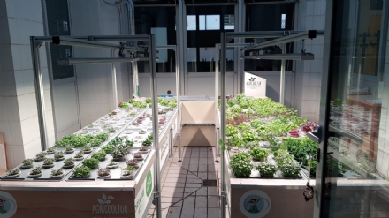 CARIGNANO - La startup che ha progettato un sistema di agricoltura aeroponica