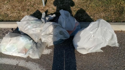 RIVALTA - Ossa di cani e resti di gatti abbandonati davanti il cimitero