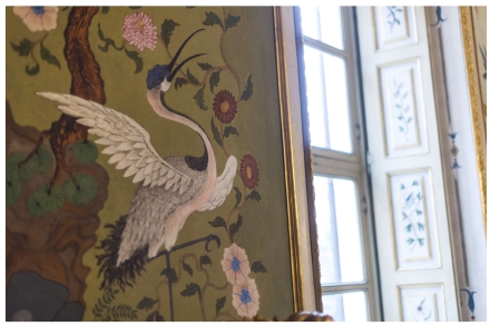 STUPINIGI - Birdwatching e appuntamenti «family friendly» alla Palazzina di Caccia