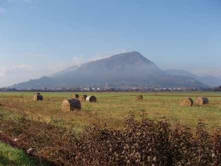 PIOSSASCO - Il Comune ordina il taglio di alberi malati sui terreni privati nell'area del monte San Giorgio
