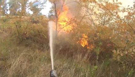 CINTURA SUD - Fioccano gli incendi di sterpaglie: vigili del fuoco impegnati in diverse zone