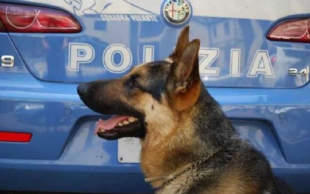 TORINO SUD - #senontiportononparto: la polizia di Stato contro l'abbandono degli animali