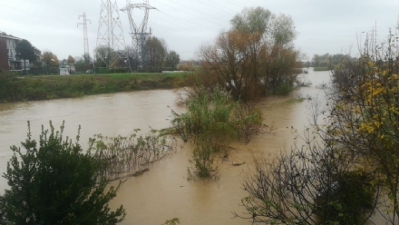 ALLERTA ROSSA MALTEMPO - Chisola stabile in tutta la zona. Il Comune di Moncalieri vieta l'uso dei garage vicino al Po - FOTO