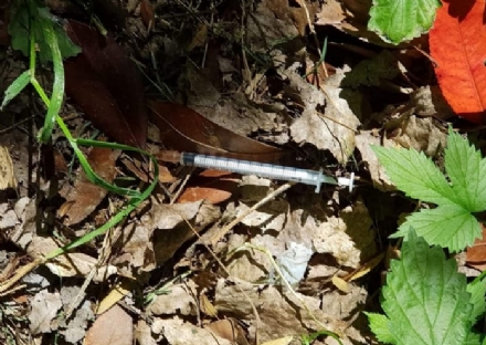 MONCALIERI - Degrado nel parco: spunta anche una siringa abbandonata tra le foglie