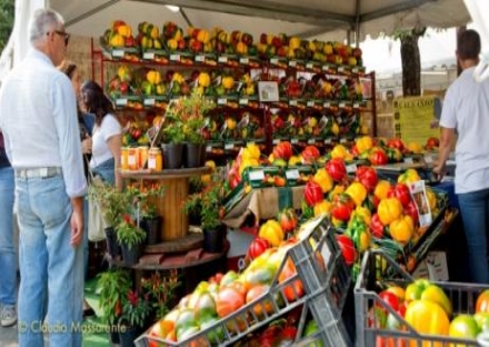 CARMAGNOLA - Venerdì il via alla Fiera del Peperone: è conto alla rovescia