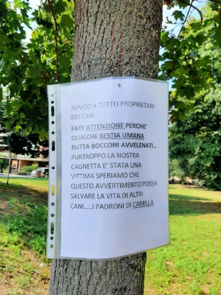 NICHELINO - Bocconi avvelenati in via Buonarroti: appesi cartelli di allerta