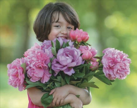 CARMAGNOLA - Una festa dei fiori con le peonie protagoniste ai Vivai delle Commande