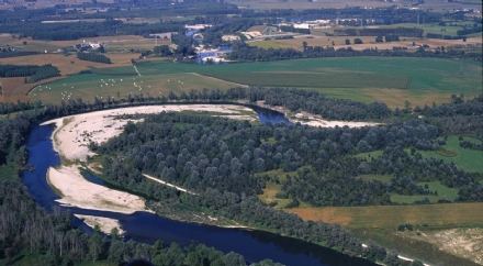CARMAGNOLA - Sparano contro gli alberi nella Riserva della Lanca di San Michele: tre denunciati
