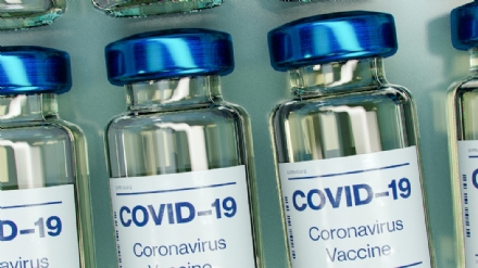 COVID - In Piemonte le prime 910 dosi del vaccino anti-Covid della Pfizer-Biontech