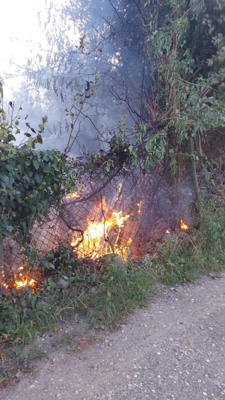 RIVALTA - Incendio in zona Gerbole: lo spegne l'assessore Orlandini