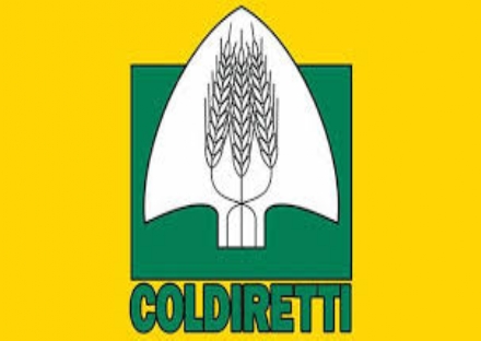 MONCALIERI - Firma del protocollo tra Coldiretti e il Comune per lo sviluppo del territorio