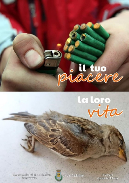 NICHELINO - Il Comune contro i botti di capodanno lancia la campagna: «Il tuo piacere, la loro vita»
