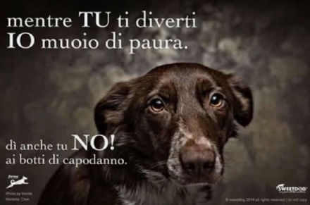 VINOVO - No ai botti di capodanno: progetto del Comune e dell'Enpa