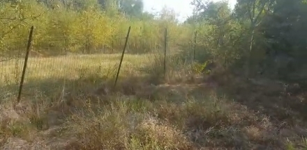 MONCALIERI - Campo sportivo di Tetti Piatti, Atc conferma interesse di un'associazione