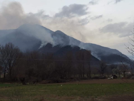 SANGANO - Nuovi focolai a Pietraborga: situazione sotto controllo ma allerta resta alta