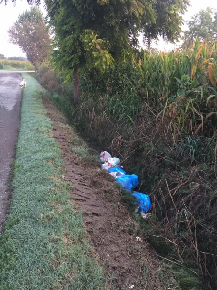 CARMAGNOLA - Fossato a San Michele trasformato in una discarica
