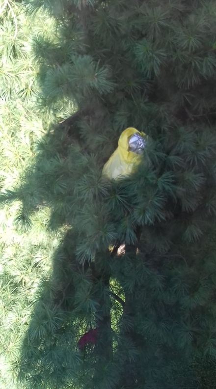 NICHELINO - Sacchi dei rifiuti gettati dai balconi in via Parri. Il sindaco: 'Via ai controlli'