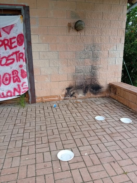 ORBASSANO - Rubata la cuccetta dei gattini della colonia nel parco Ilenia Giusti