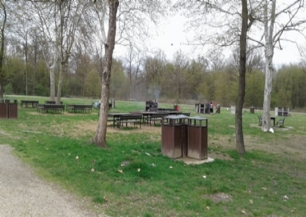 NICHELINO - Niente pic nic e barbecue al Boschetto: li sindaco ordina il divieto per Pasqua e Pasquetta