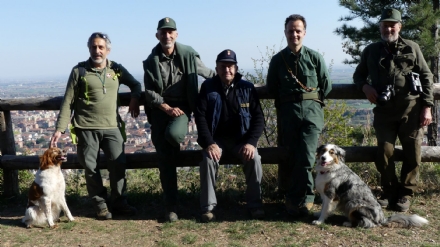 PIOSSASCO - Uccidono i cani con i bocconi avvelenati: caccia ai balordi nel parco del Monte San Giorgio