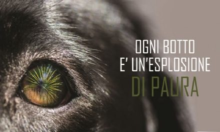 TORINO SUD - Botti di capodanno, pericolo per gli animali: il decalogo dell'Oipa per proteggerli