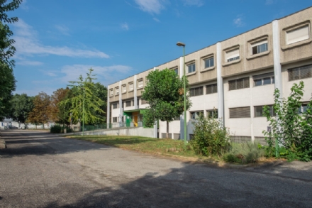 NICHELINO - Al Maxwell due alveari di api per il monitoraggio dell'ambiente