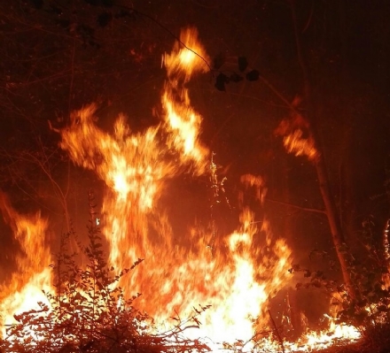 MONCALIERI - Paura in collina per alcune sterpaglie che hanno preso fuoco