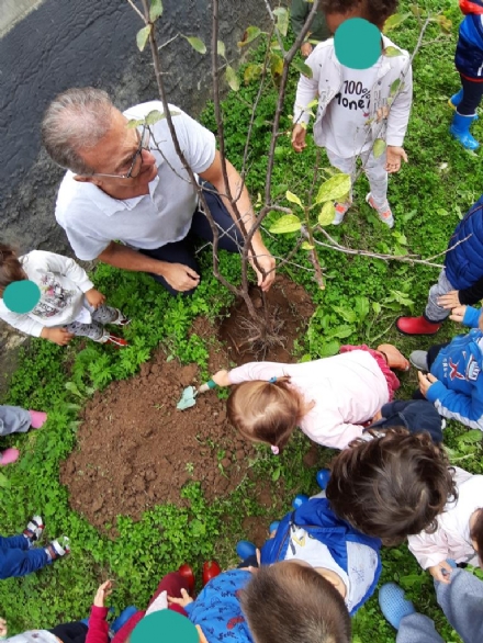 MONCALIERI - I bimbi dell'asilo piantano alberi per il loro futuro