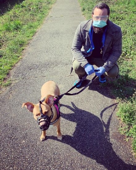NICHELINO - E' partito 'Sos passeggiata', per portare fuori i cani di chi è in quarantena