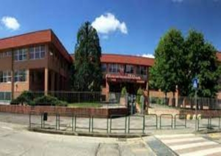 LA LOGGIA - Dopo la materna, anche alla elementare Fenoglio i genitori segnalano topi