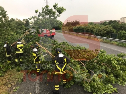 MALTEMPO - Bomba d'acqua in cintura sud: alberi caduti e allagamenti