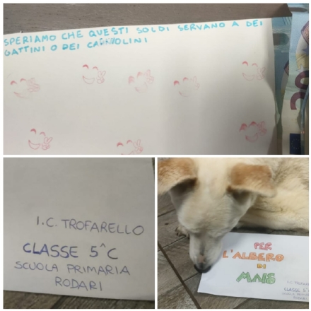 TROFARELLO - Gli alunni della 5C Rodari raccolgono 120 euro donandoli al canile rifugio di Moncalieri