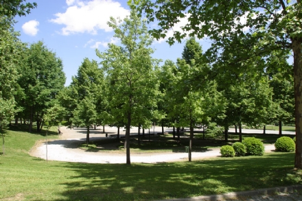 CARMAGNOLA - Il parco della Vigna chiude per l'abbattimento alberi