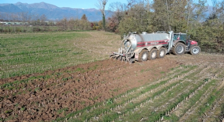 AGRICOLTURA - In tutta la provincia scattato il divieto di spargimento dei liquami zootecnici