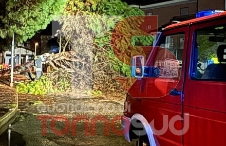 MALTEMPO - Notte di lavoro per i vigili del fuoco tra alberi caduti e allagamenti