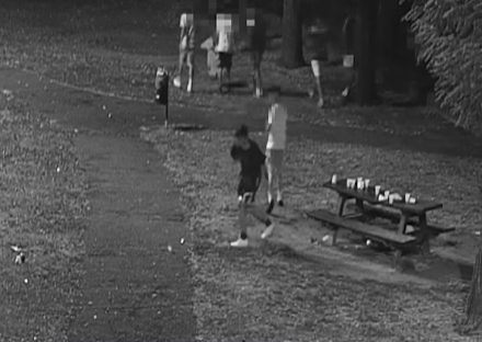 ORBASSANO - Vandalizzano il parco e il Comune pubblica il video per risalire ai responsabili