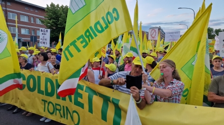 COLDIRETTI - Contro i cinghiali scendono in strada gli agricoltori di Carignano, Trofarello e Carmagnola