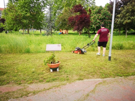 NICHELINO - L'assessore tifoso taglia l'erba al parco Valentino Mazzola per il 4 maggio