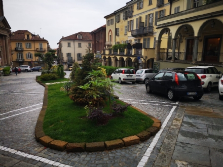 MONCALIERI - L'aiuola di piazza Vittorio Emanuele è da rifare