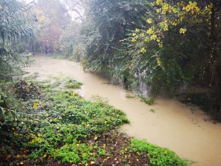 IL PO FA PAURA - A Moncalieri ha già superato il livello di guardia. Chiuso il parco di lungo Po Abellonio