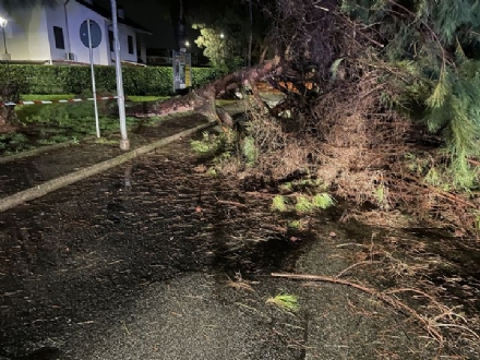 CANDIOLO - La strada è chiusa per rischio alberi, ma qualcuno sposta le transenne per passare lo stesso