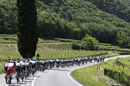 NICHELINO - Città premiata dal Giro d'Italia per la raccolta differenziata della tappa di Stupinigi