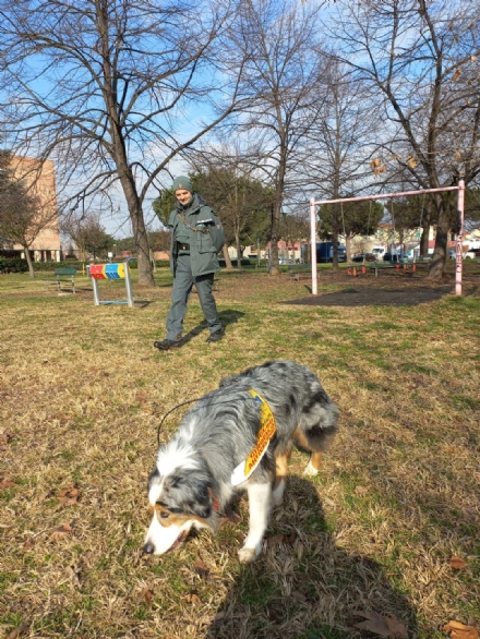 NICHELINO - Controllo anti veleni nel parco dove morì un cane. In azione il pastore australiano addestrato di Città Metropolitana