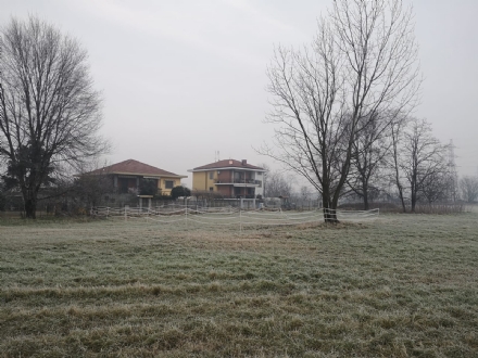 MONCALIERI - Iniziata la bonifica dell'area di Carpice