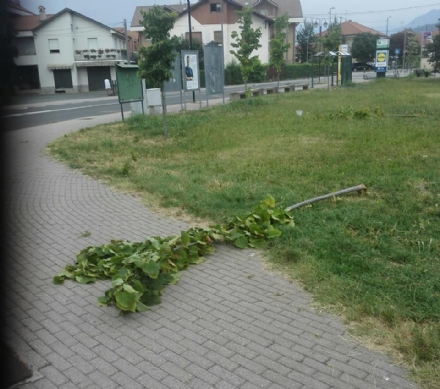 PIOSSASCO - Vandali in azione nel giardinetto tra via Petrarca e via Torino