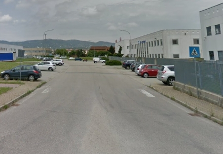 TROFARELLO - Investe e uccide un cane, poi scappa. L'appello del padrone: "Aiutatemi"