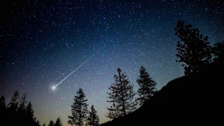 ORBASSANO - Il 10 agosto le stelle cadenti si possono ammirare al parco di Stupinigi