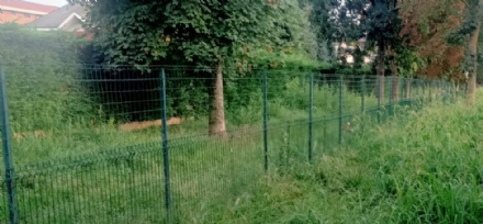 NICHELINO - L'erba alta anche nelle aree cani e i padroni protestano