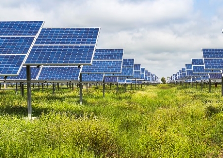 COLDIRETTI - Troppi pannelli fotovoltaici nei campi: 'Speculazione energetica affossa la produzione di cibo'